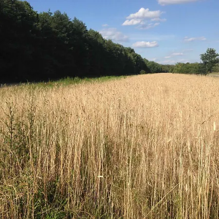 Kabaty Appartement Warschau